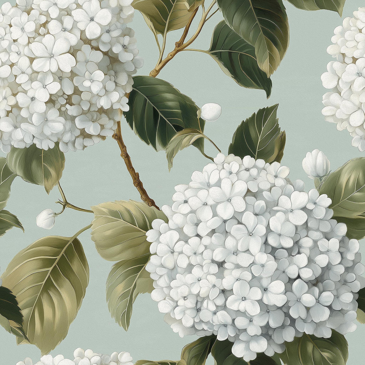 a close-up view of white hydrangea flowers with green leaves against a light blue background.