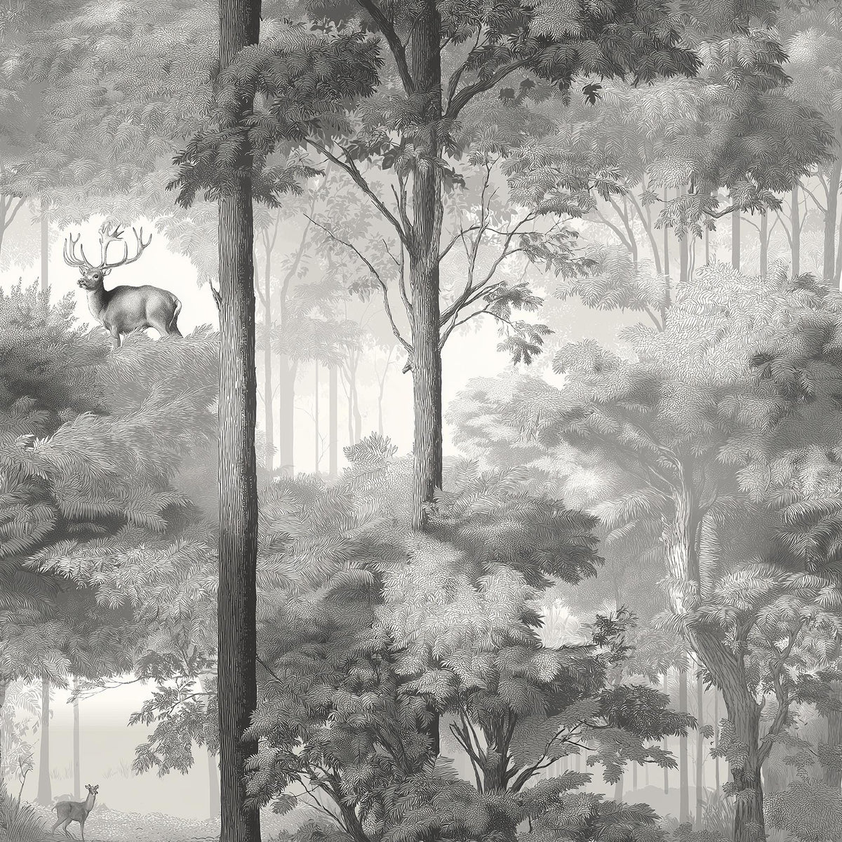 A black and white image depicting a forest scene with a deer standing on a tree branch in the foreground.
